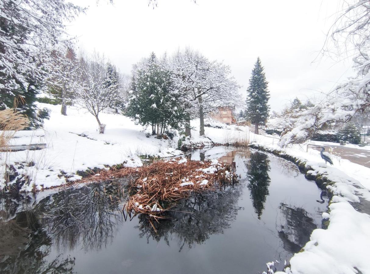 Le Manoir Au Lac جوراردُميه المظهر الخارجي الصورة