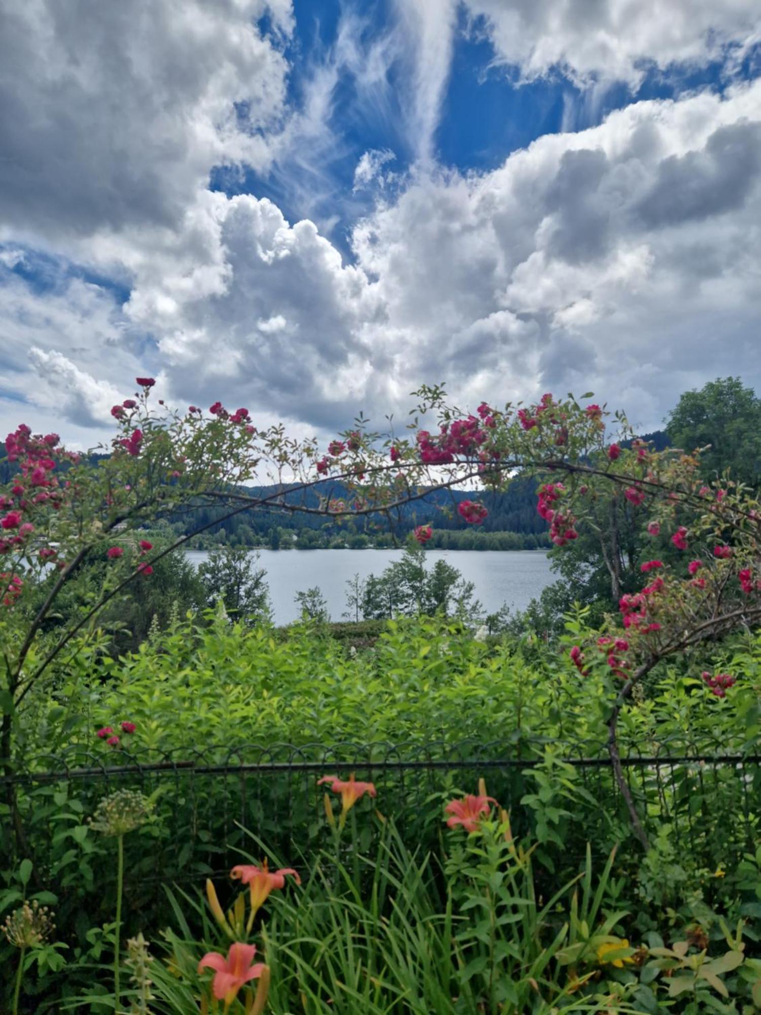 Le Manoir Au Lac جوراردُميه المظهر الخارجي الصورة
